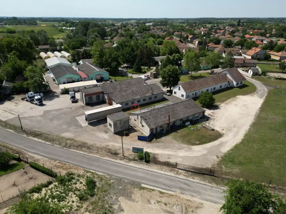 Csongrád megye - Domaszék