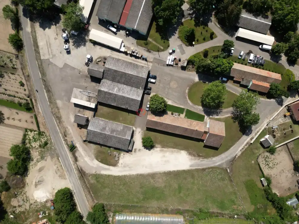 Csongrád megye - Domaszék