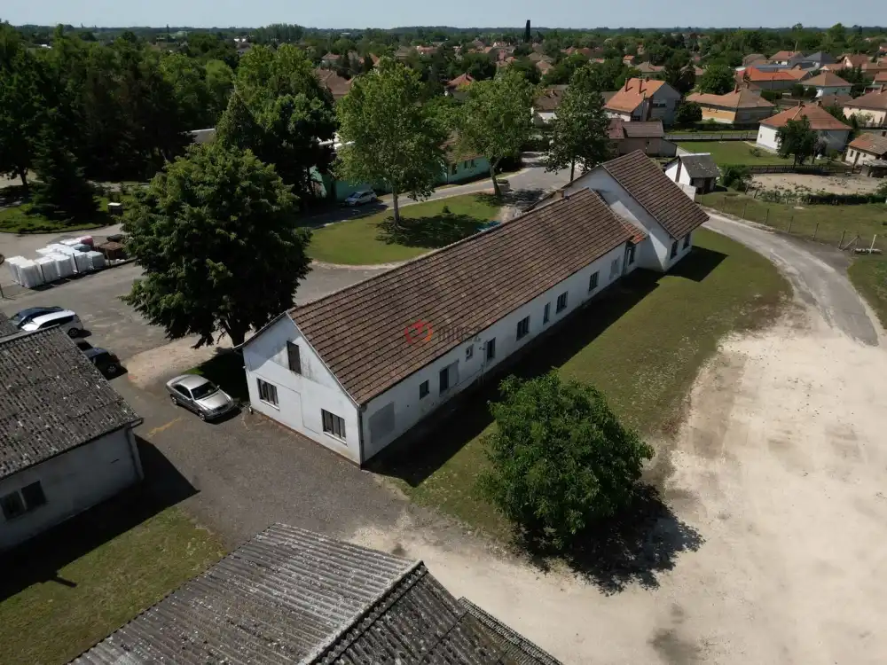 Csongrád megye - Domaszék