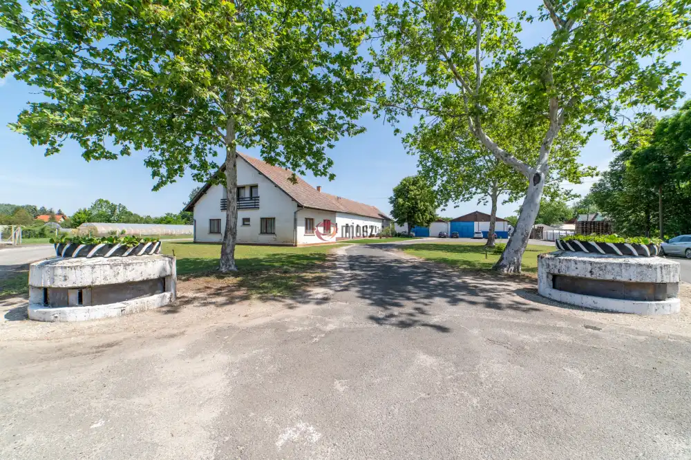 Csongrád megye - Domaszék