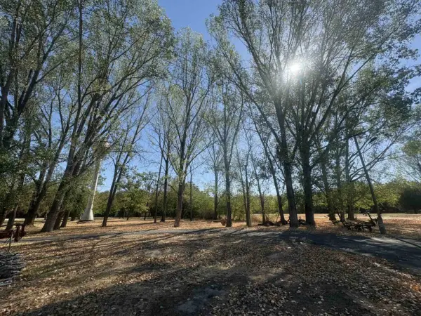 Eladó ipari ingatlan, Dunavarsány 7538 m² 1300 M Ft