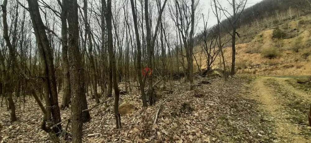 Borsod-Abaúj-Zemplén megye - Füzérradvány