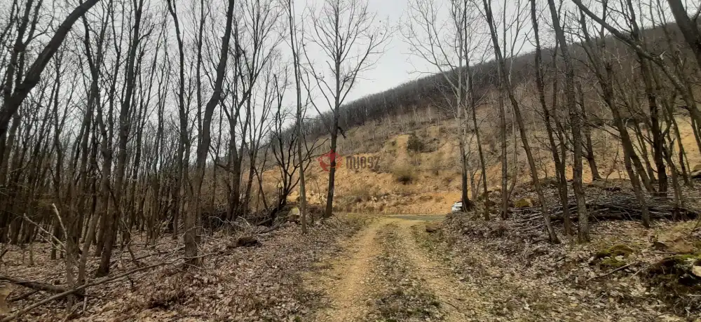 Borsod-Abaúj-Zemplén megye - Füzérradvány