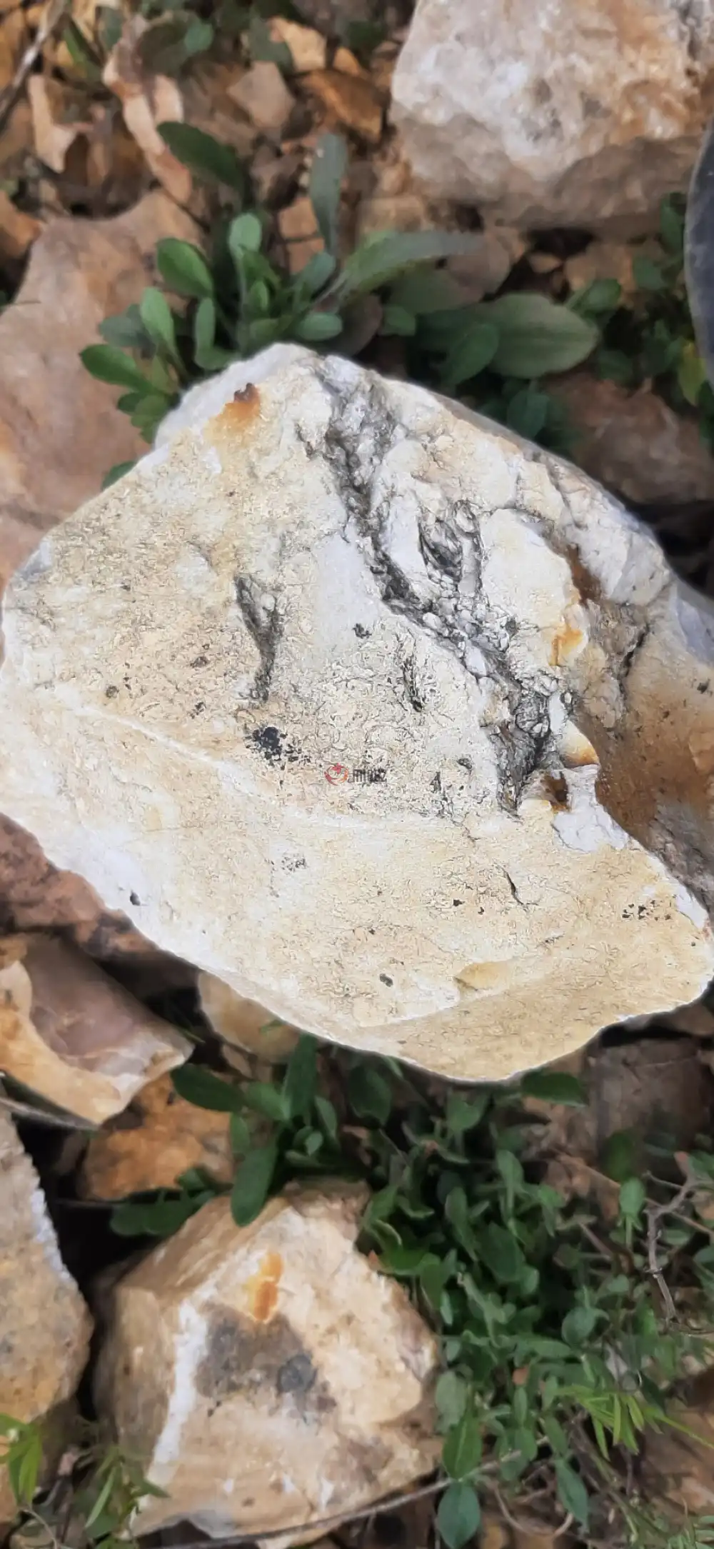 Borsod-Abaúj-Zemplén megye - Füzérradvány