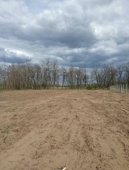 eladó ipari ingatlan, Nyírszőlős