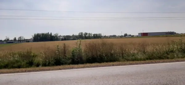 Eladó ipari ingatlan, Sárospatak 29580 m² 170 M Ft