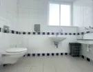 Győr-Moson-Sopron megye - Sopron