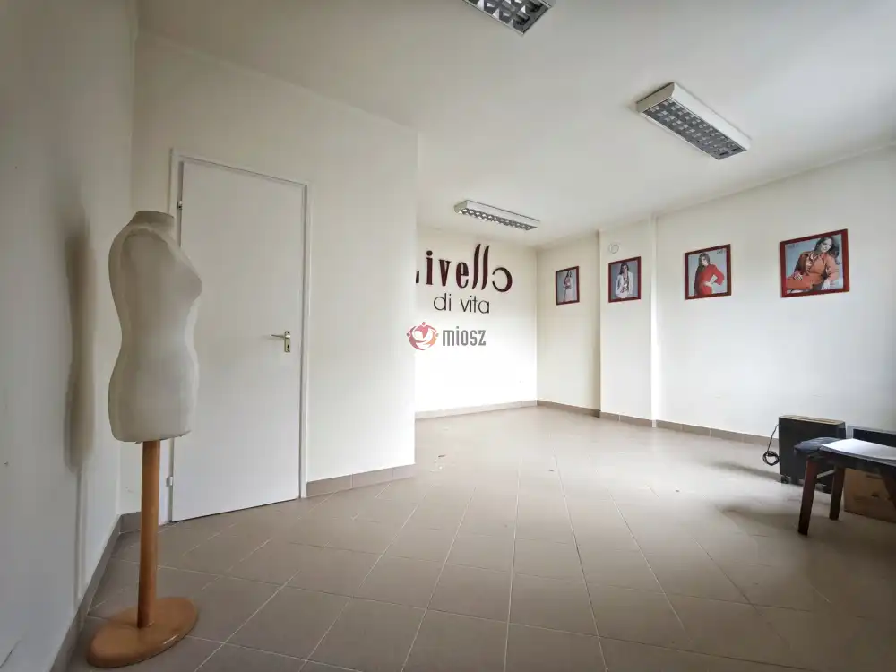 Csongrád megye - Szeged