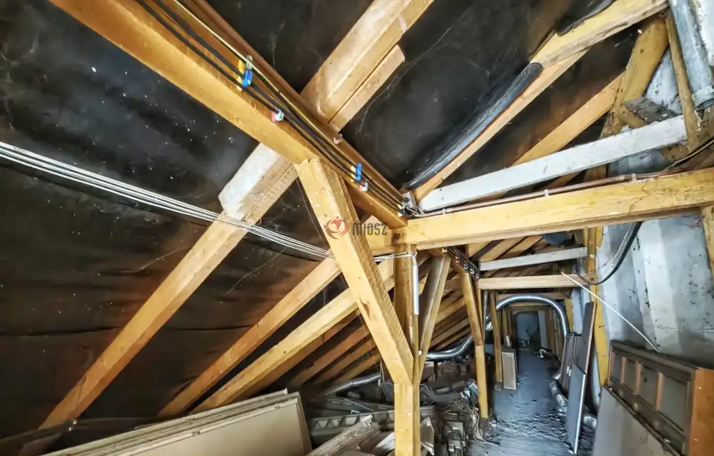 Csongrád megye - Szeged