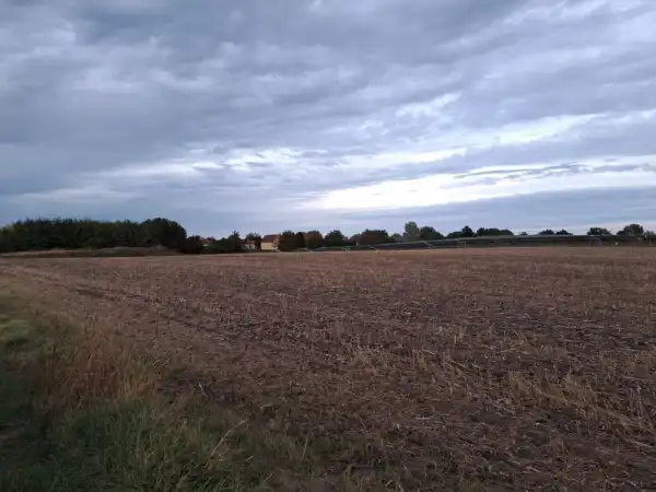 Eladó Ipari telek, Iváncsa 15000 m² 227.29 M Ft + Áfa