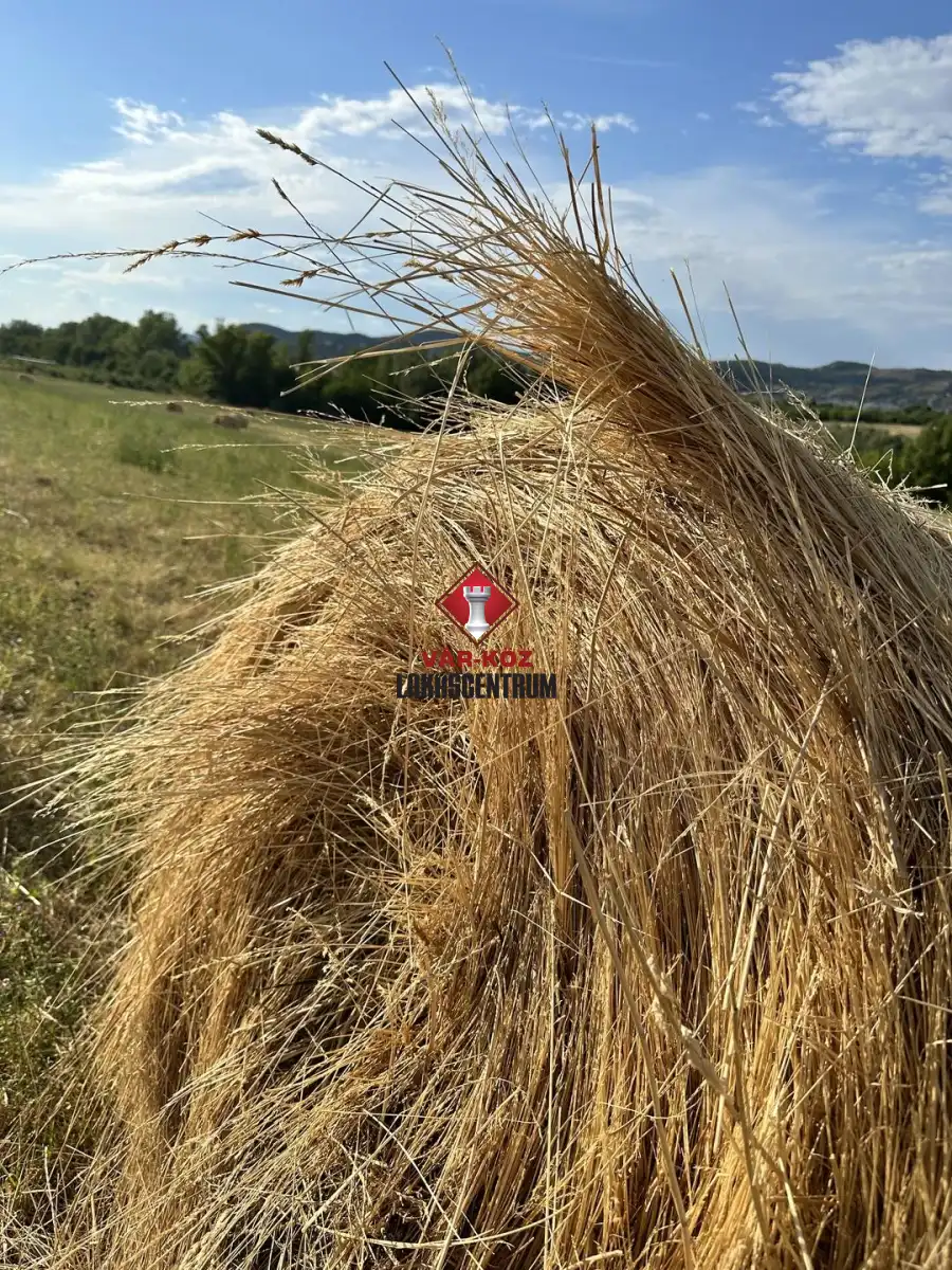 eladó  Kereskedelmi telek, Törökbálint