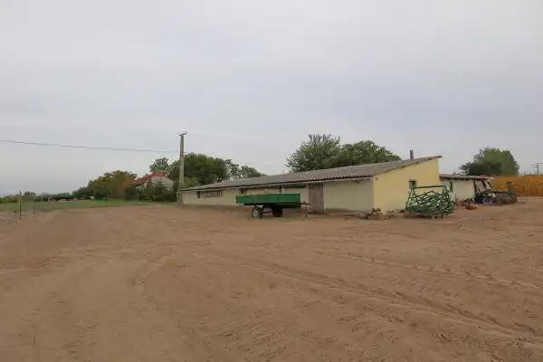 Eladó Kereskedelmi telek, Üllés 11000 m² 11 M Ft