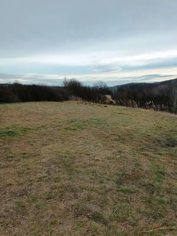 Eladó Legelő, Őrbottyán 39390 m² 58 M Ft