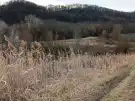 Pest megye - Őrbottyán