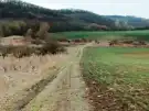 Pest megye - Őrbottyán