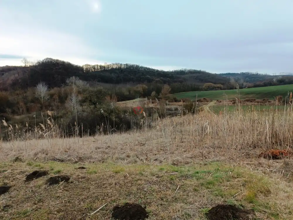 Pest megye - Őrbottyán