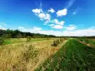 Pest megye - Sződ