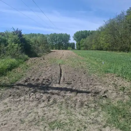 eladó mezőgazdasági ingatlan, Albertirsa