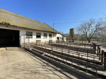 eladó mezőgazdasági ingatlan, Bölcske