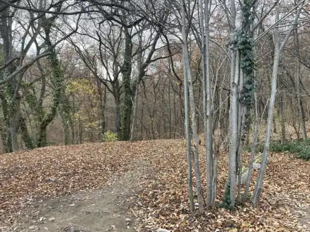 eladó mezőgazdasági ingatlan, Budapest, XII. kerület