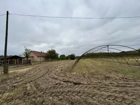 eladó mezőgazdasági ingatlan, Lajosmizse