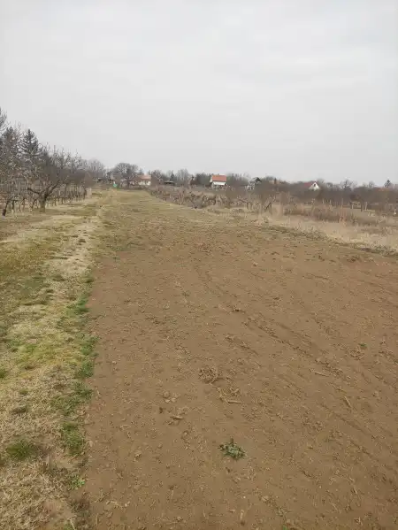 eladó mezőgazdasági ingatlan, nincs megadva