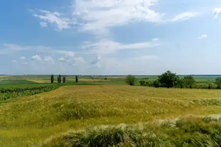 eladó mezőgazdasági ingatlan, Pázmánd