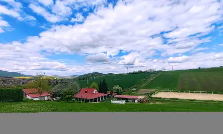 eladó mezőgazdasági ingatlan, Rád