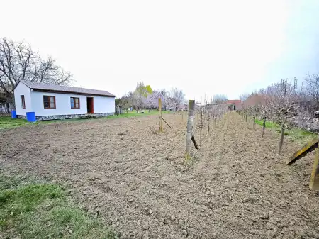 eladó mezőgazdasági ingatlan, Szeged