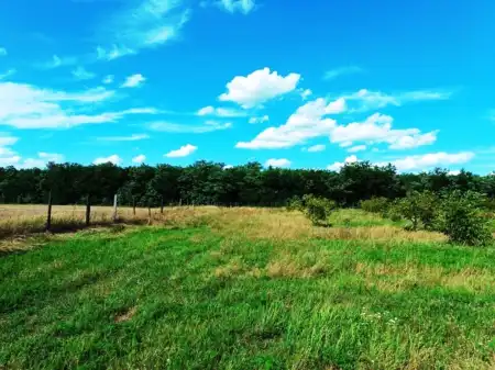 eladó mezőgazdasági ingatlan, Sződ