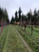 Zala megye - Nagykanizsa