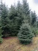 Zala megye - Nagykanizsa