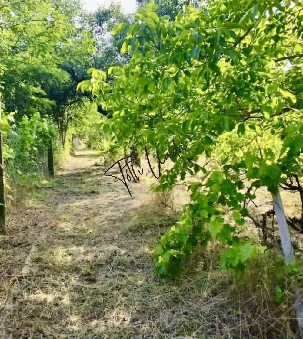 Komárom-Esztergom megye - Oroszlány