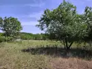 Pest megye - Pilis