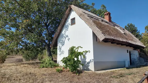 Eladó pince, Csákvár 25 m² 21 M Ft