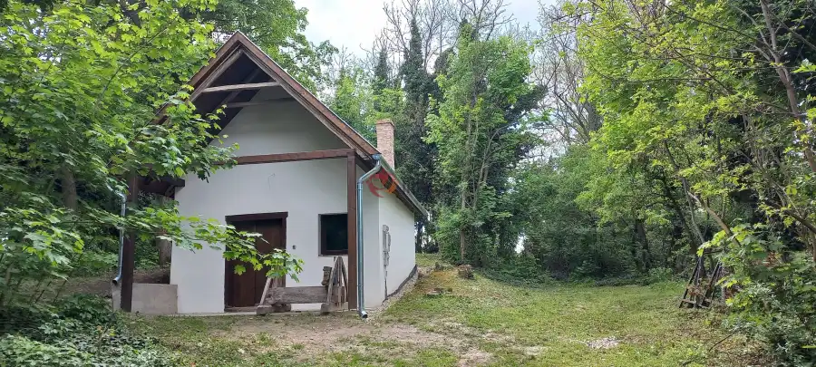 eladó pince, Vértesboglár