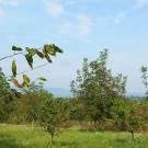 Somogy megye - Balatonkeresztúr