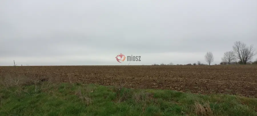 eladó  Szántó, Bicske