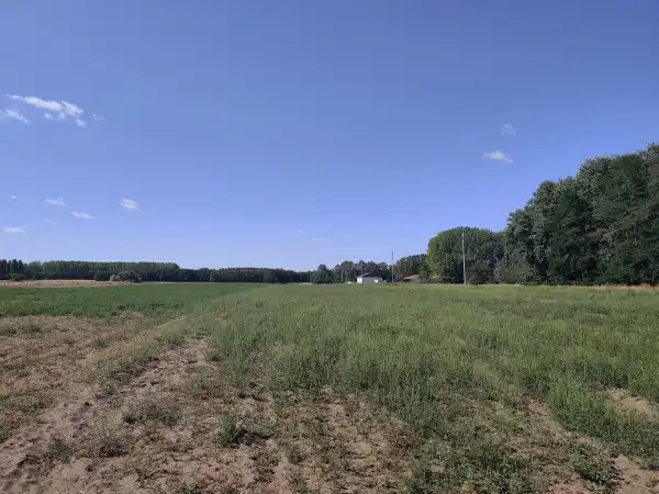 Eladó Szántó, Hernád 8017 m² 4.5 M Ft