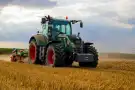 Csongrád megye - Kistelek