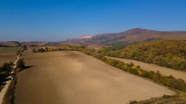 Eladó Szántó, Kosd 54268 m² 45 M Ft