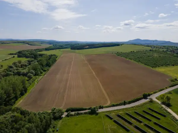 Eladó Szántó, Nógrád 207000 m² 145 M Ft