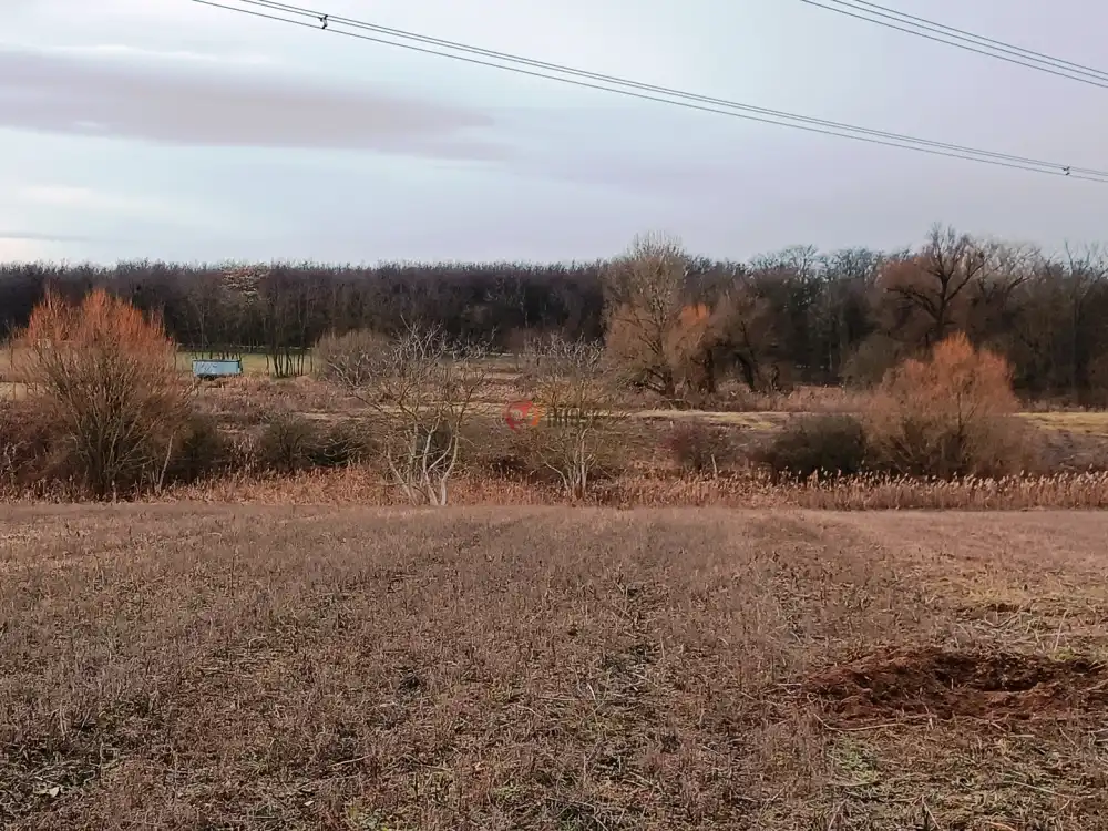 Pest megye - Őrbottyán