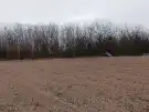 Pest megye - Őrbottyán