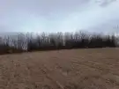 Pest megye - Őrbottyán