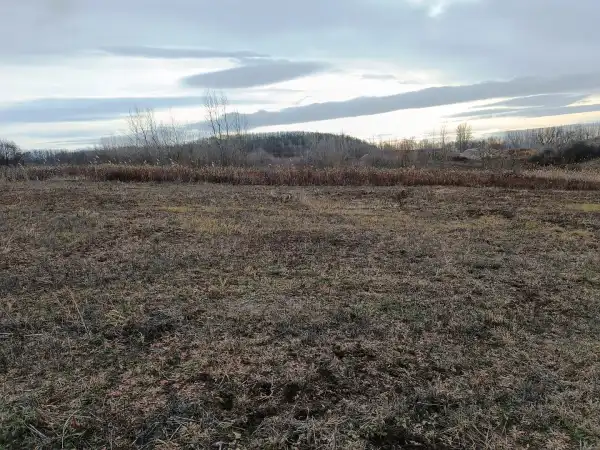 Eladó Szántó, Őrbottyán 10000 m² 19 M Ft + Áfa