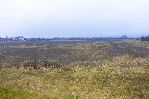 Eladó Szántó, Pásztó 15199 m² 77000000 M Ft