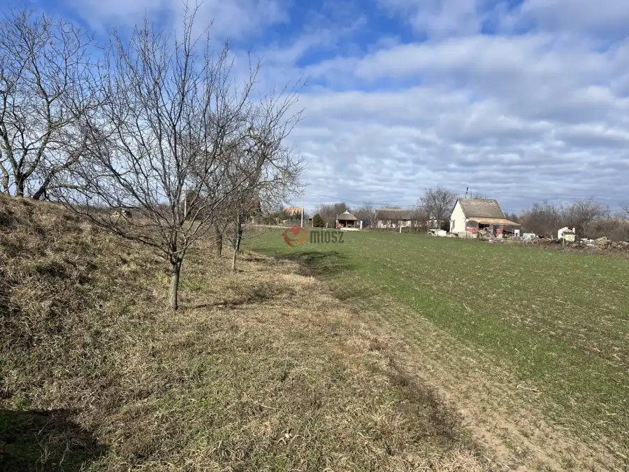 eladó  Szántó, Polgárdi