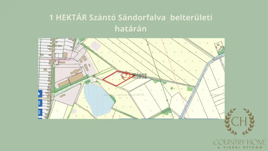 eladó  Szántó, Sándorfalva