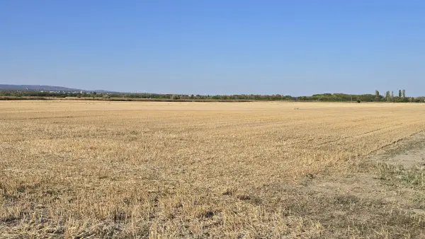 Eladó Szántó, Szigetszentmiklós 16255 m² 19.9 M Ft